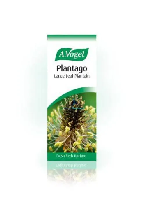 A.Vogel Plantago Lanceolata Lance Leaf Plantin - 50ml