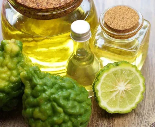 Ogam Essential Oil - Bergamot  5ml - Image 2