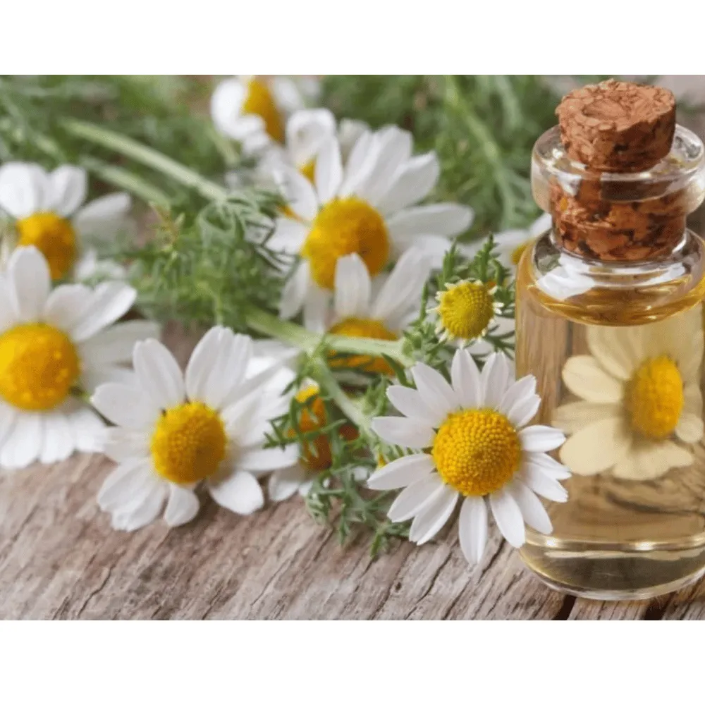 Ogam Essential Oil - Chamomile 5% GSD 5ml - Image 2