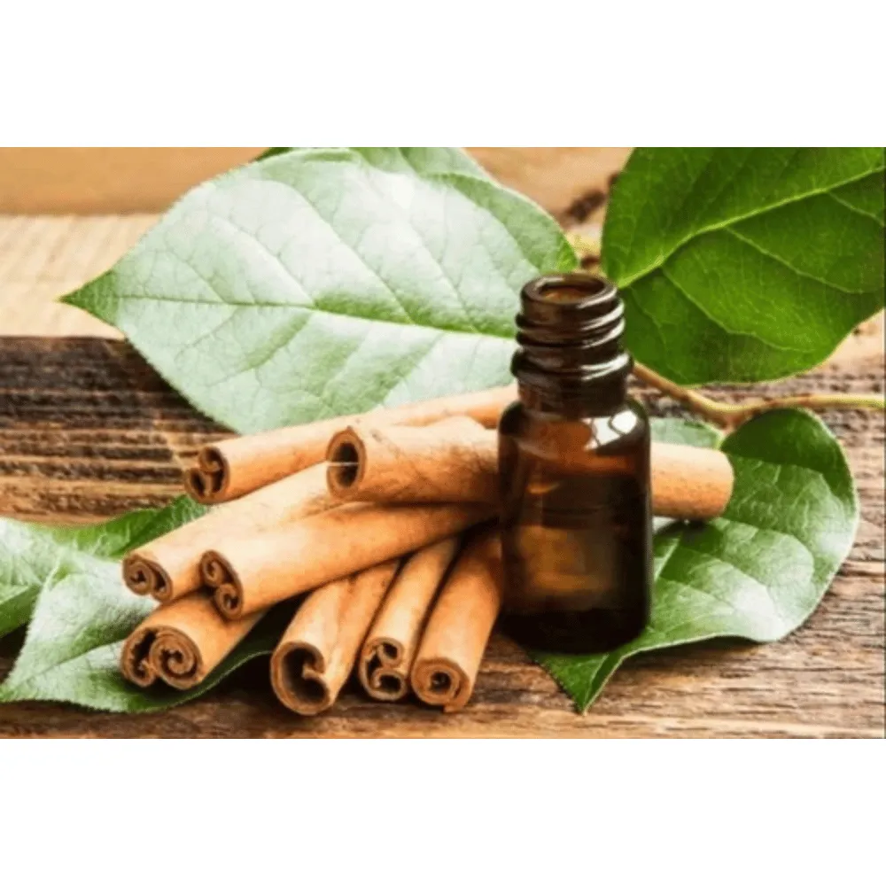Ogam Essential Oil - Cinnamon 10ml - Image 2