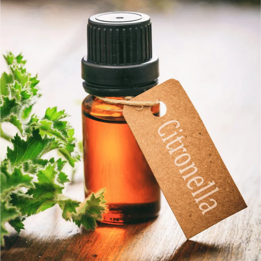 Ogam Essential Oil - Citronella 10ml - Image 2