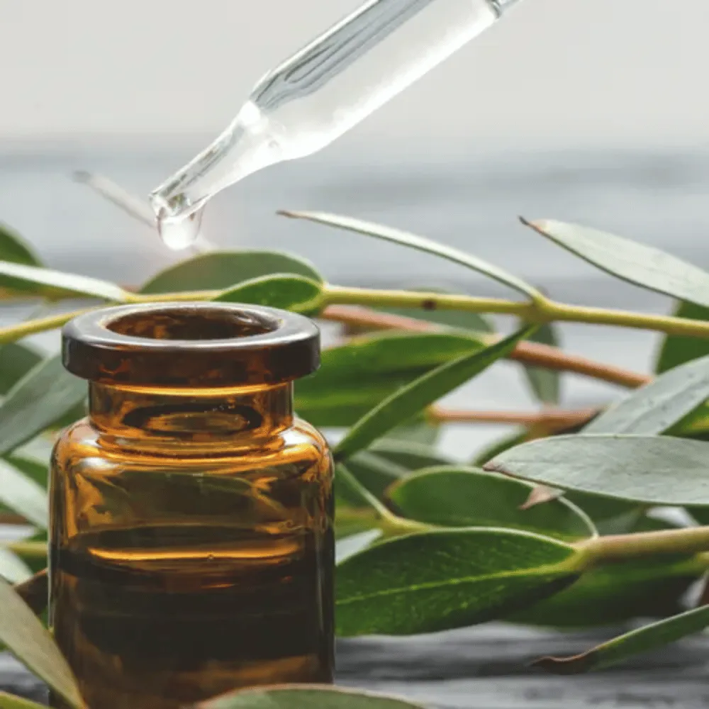 Ogam Essential Oil - Eucalyptus 10ml - Image 3