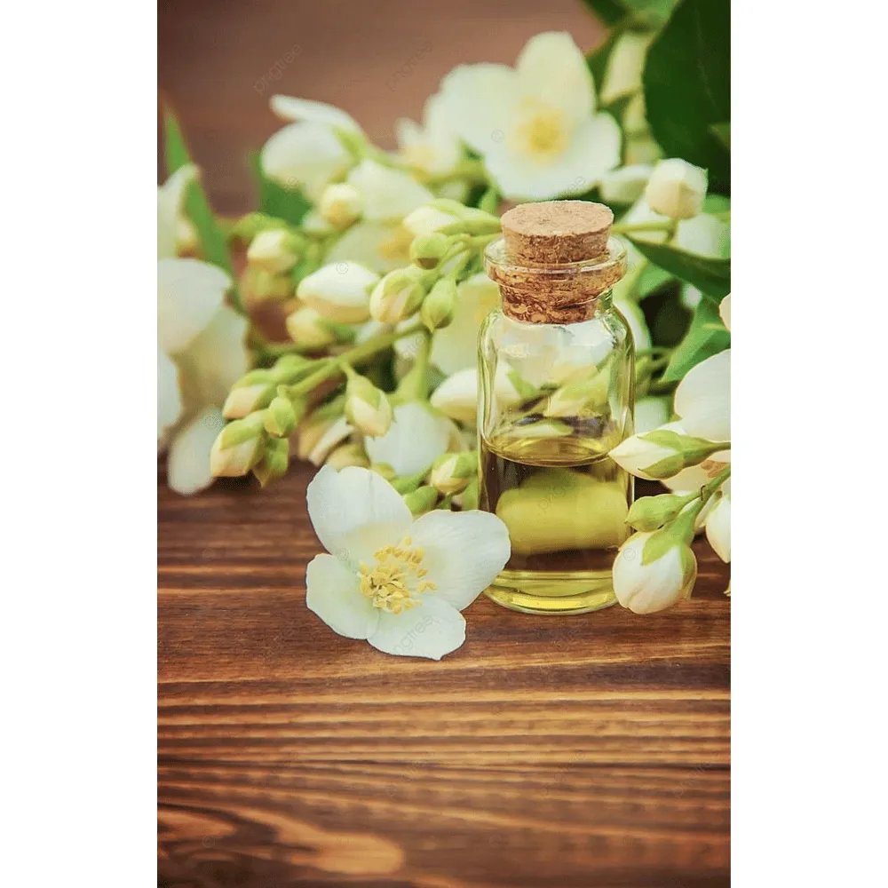 Ogam Essential Oil - Jasmine 5% in GSD oil 5ml - Image 3