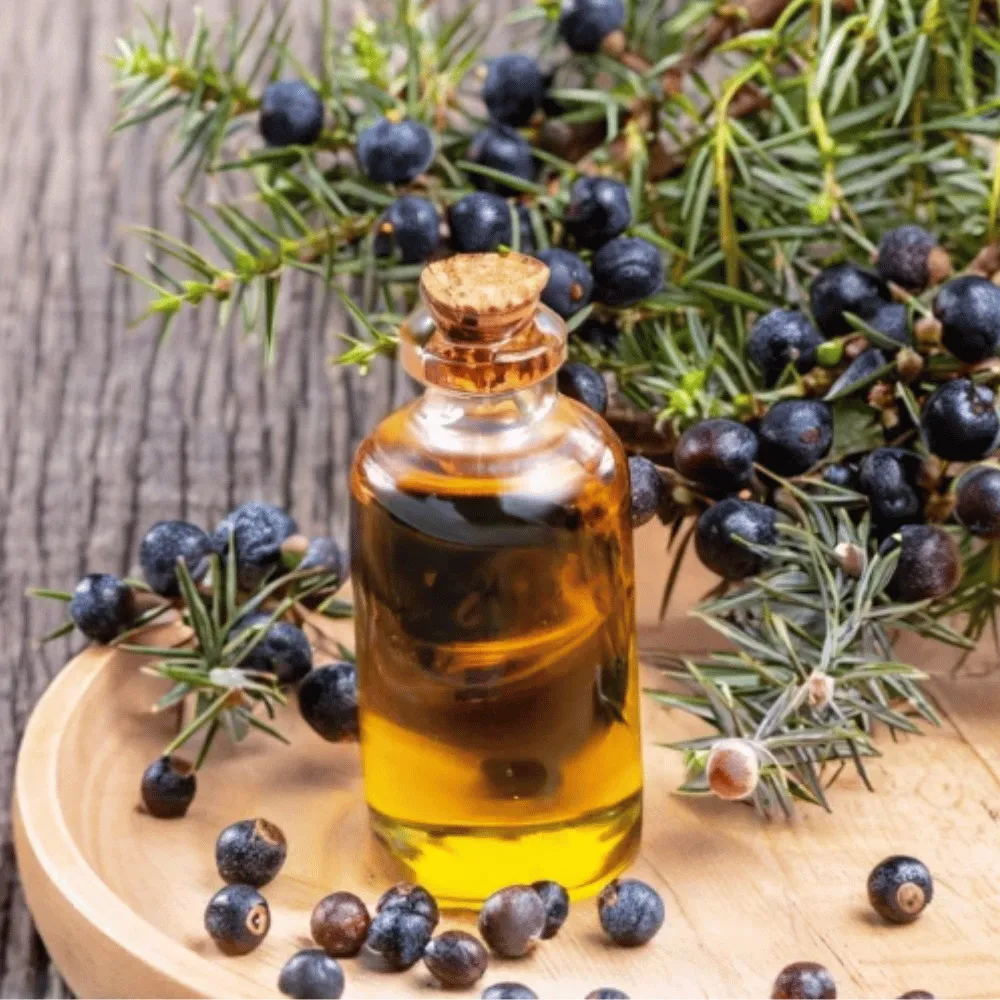 Ogam Essential Oil - Juniper  5ml - Image 3