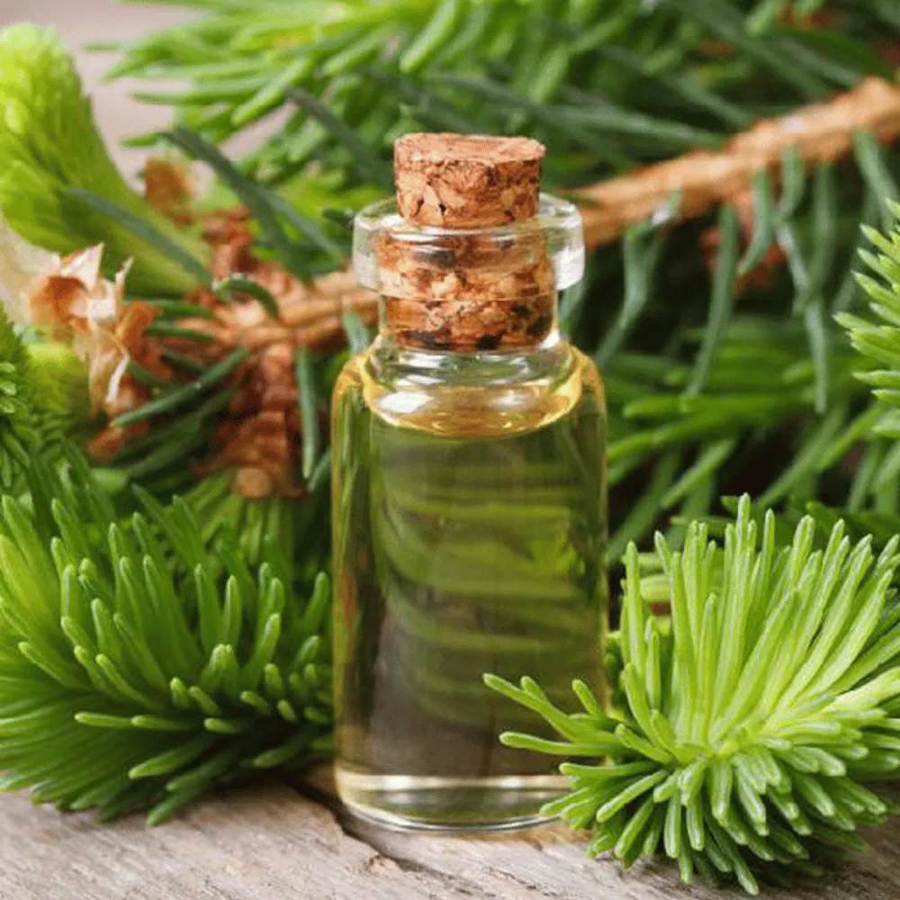 Ogam Essential Oil - Pine Needle 10ml - Image 2