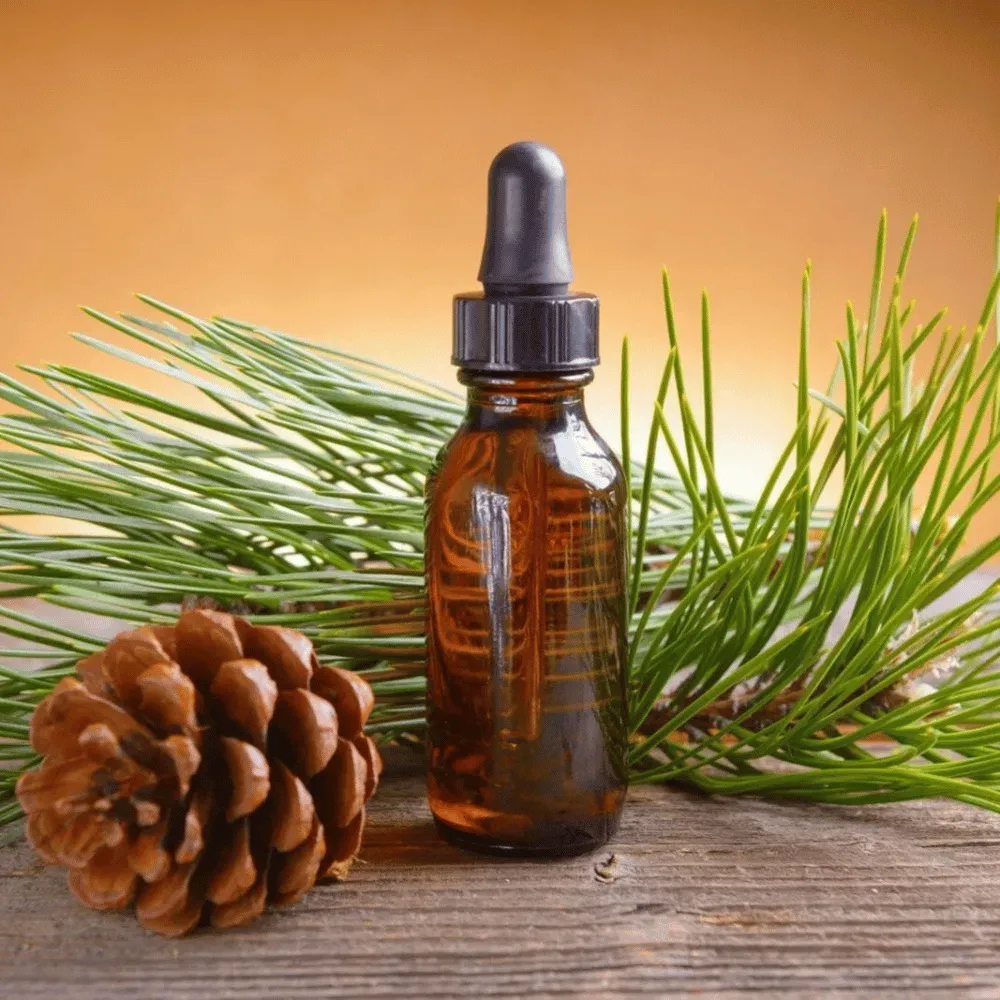 Ogam Essential Oil - Pine Needle 10ml - Image 3